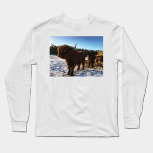 Scottish Highland Cattle Bulls 2257 Long Sleeve T-Shirt